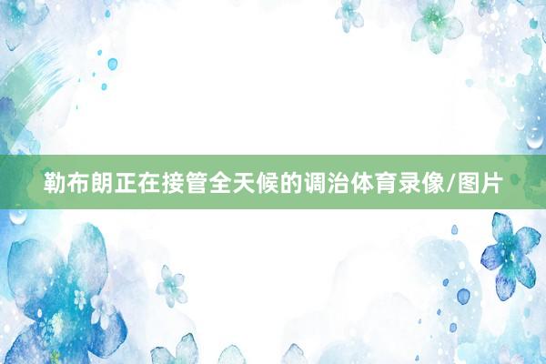 勒布朗正在接管全天候的调治体育录像/图片